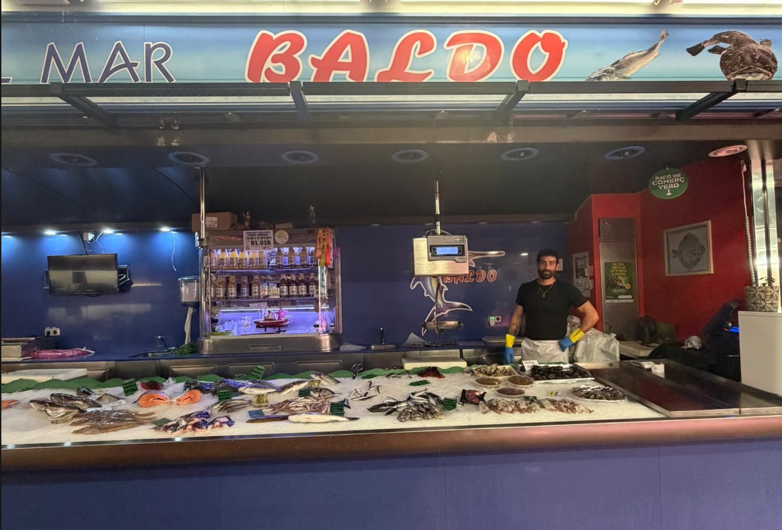 Galería 2
